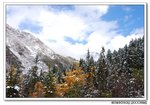 DSC_0056s