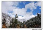 DSC_0062s