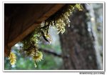 DSC_0079s
