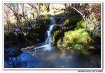 DSC_0434s