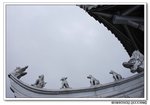 DSC_0859s