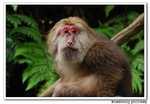 DSC_10097s