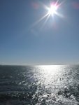 IMG_0770