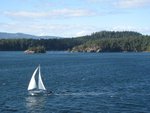 IMG_0847