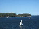 IMG_0849