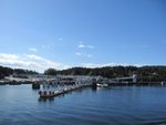 IMG_0881