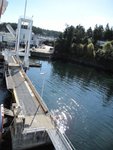 IMG_0904