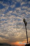 Image00010