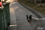 Image00013