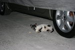 IMG_0363_resize