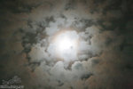 IMG_2361_resize
