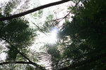 IMG_2387_resize