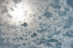 IMG_2572_resize