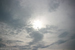 IMG_2594_resize
