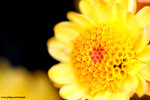 ��ȵ�i02