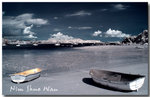Nim Shue Wan 2007 2