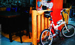IMAG0005
