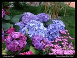 2006-03-04 ��i 015