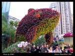 2006-03-04 ��i 049
