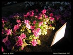 2006-03-04 ��i 079