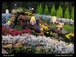 2006-03-04 ��i 096