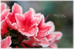 IMG_4853