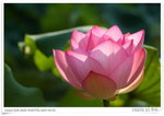 IMG_7897