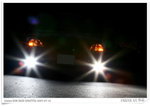 IMG_9011
