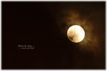 IMG_0775