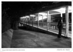 IMG_1567