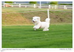 IMG_2238