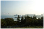 IMG_4334