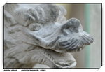 DSC_2214