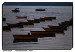 DSC_2276