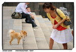 DSC_6654
