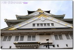 DSC_8406