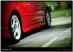 DSC_8981