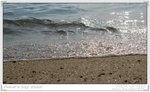 IMG_0539