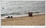 IMG_0548