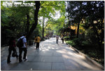 DSC_3655