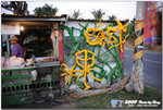 DSC_6072