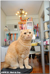 DSC_4721