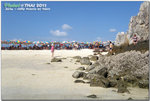 DSCF8976