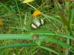 DSCN9877