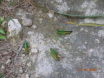 DSCN9880