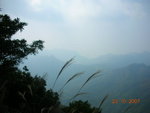 DSCN9889