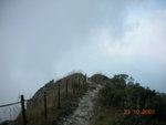 DSCN9942