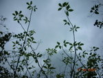 DSCN9748