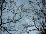 DSCN9754