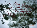 DSCN9798